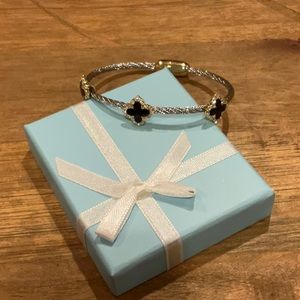 Stunning Bracelet NWOT